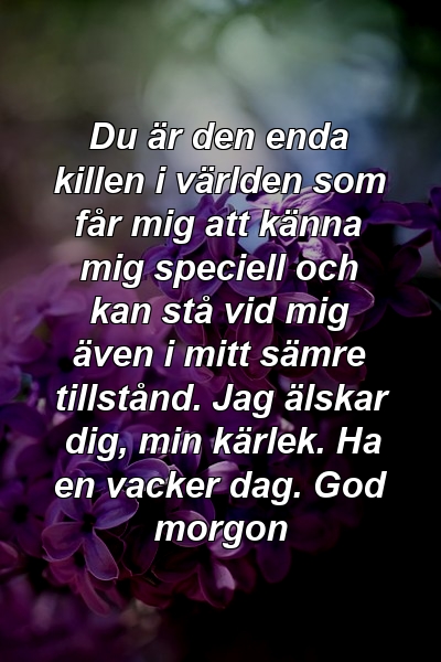 Du är den enda killen i världen som får mig att känna mig speciell och kan stå vid mig även i mitt sämre tillstånd. Jag älskar dig, min kärlek. Ha en vacker dag. God morgon