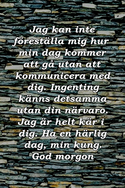 Jag kan inte föreställa mig hur min dag kommer att gå utan att kommunicera med dig. Ingenting känns detsamma utan din närvaro. Jag är helt kär i dig. Ha en härlig dag, min kung. God morgon