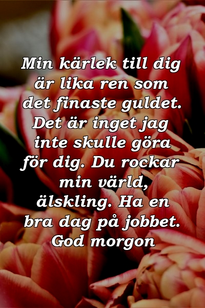 Min kärlek till dig är lika ren som det finaste guldet. Det är inget jag inte skulle göra för dig. Du rockar min värld, älskling. Ha en bra dag på jobbet. God morgon