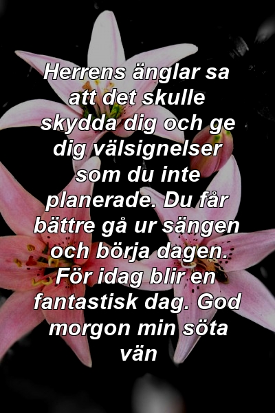 Herrens änglar sa att det skulle skydda dig och ge dig välsignelser som du inte planerade. Du får bättre gå ur sängen och börja dagen. För idag blir en fantastisk dag. God morgon min söta vän