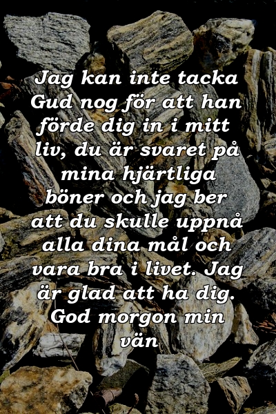 Jag kan inte tacka Gud nog för att han förde dig in i mitt liv, du är svaret på mina hjärtliga böner och jag ber att du skulle uppnå alla dina mål och vara bra i livet. Jag är glad att ha dig. God morgon min vän