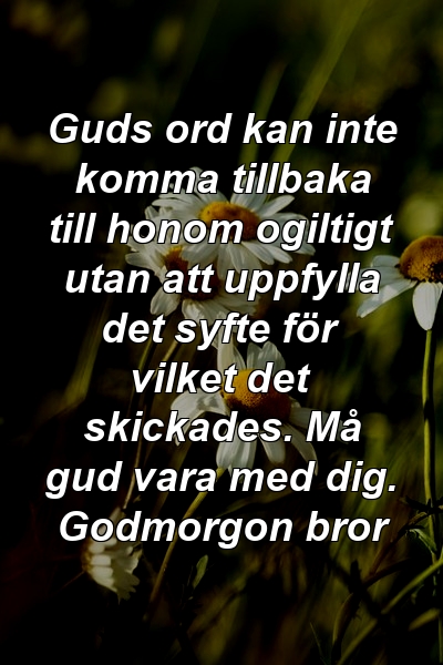 Guds ord kan inte komma tillbaka till honom ogiltigt utan att uppfylla det syfte för vilket det skickades. Må gud vara med dig. Godmorgon bror