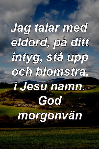 Jag talar med eldord, på ditt intyg, stå upp och blomstra, i Jesu namn. God morgonvän