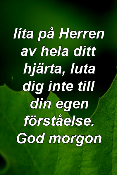 lita på Herren av hela ditt hjärta, luta dig inte till din egen förståelse. God morgon