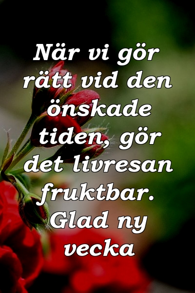 När vi gör rätt vid den önskade tiden, gör det livresan fruktbar. Glad ny vecka