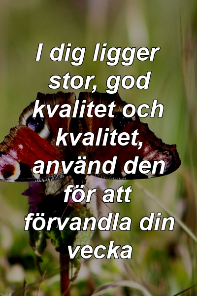 I dig ligger stor, god kvalitet och kvalitet, använd den för att förvandla din vecka