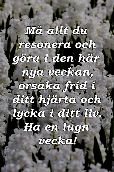 Må allt du resonera och göra i den här nya veckan, orsaka frid i ditt hjärta och lycka i ditt liv. Ha en lugn vecka!