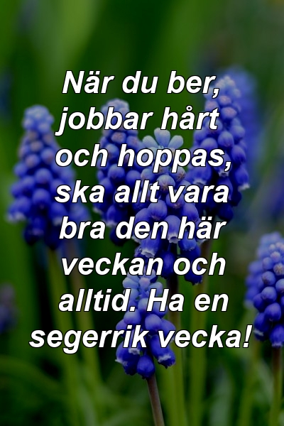 När du ber, jobbar hårt och hoppas, ska allt vara bra den här veckan och alltid. Ha en segerrik vecka!