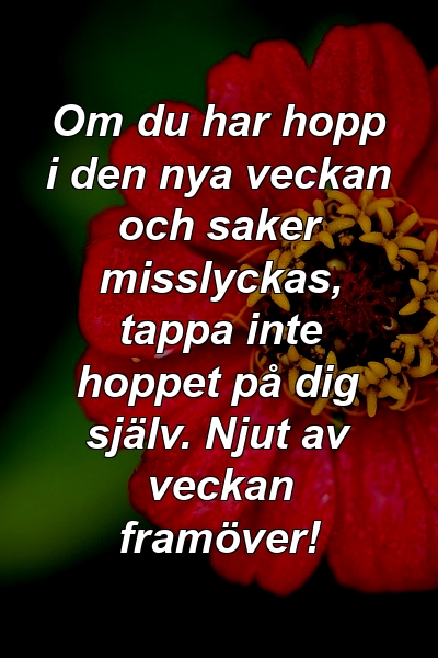 Om du har hopp i den nya veckan och saker misslyckas, tappa inte hoppet på dig själv. Njut av veckan framöver!