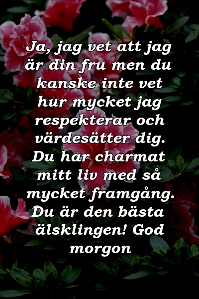 Ja, jag vet att jag är din fru men du kanske inte vet hur mycket jag respekterar och värdesätter dig. Du har charmat mitt liv med så mycket framgång. Du är den bästa älsklingen! God morgon