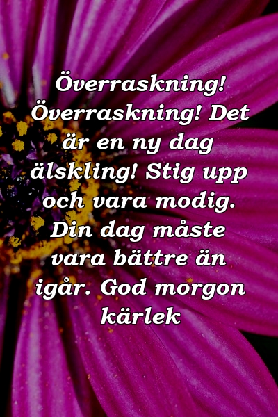 Överraskning! Överraskning! Det är en ny dag älskling! Stig upp och vara modig. Din dag måste vara bättre än igår. God morgon kärlek