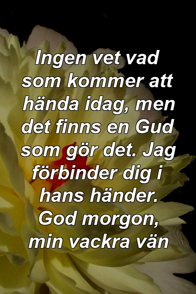 Ingen vet vad som kommer att hända idag, men det finns en Gud som gör det. Jag förbinder dig i hans händer. God morgon, min vackra vän