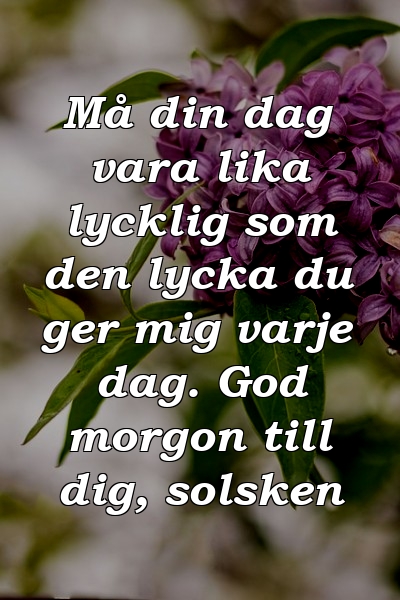 Må din dag vara lika lycklig som den lycka du ger mig varje dag. God morgon till dig, solsken