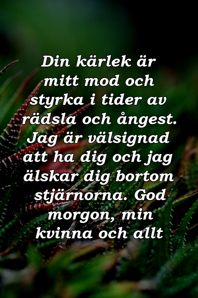 Din kärlek är mitt mod och styrka i tider av rädsla och ångest. Jag är välsignad att ha dig och jag älskar dig bortom stjärnorna. God morgon, min kvinna och allt