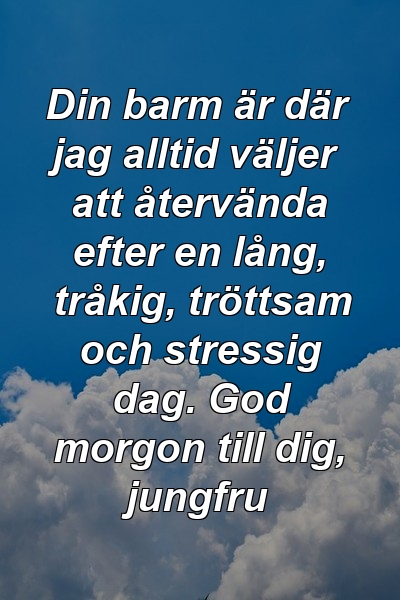 Din barm är där jag alltid väljer att återvända efter en lång, tråkig, tröttsam och stressig dag. God morgon till dig, jungfru