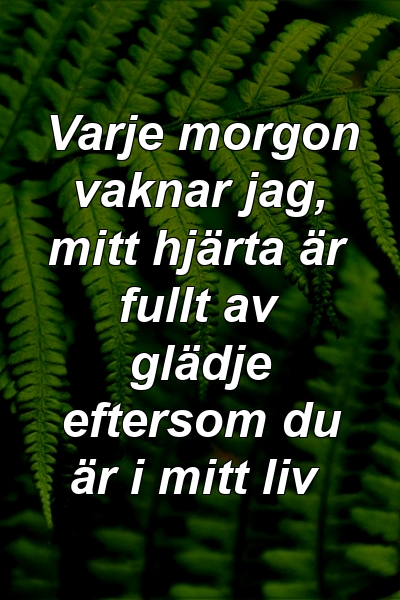 Varje morgon vaknar jag, mitt hjärta är fullt av glädje eftersom du är i mitt liv