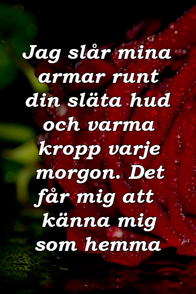 Jag slår mina armar runt din släta hud och varma kropp varje morgon. Det får mig att känna mig som hemma