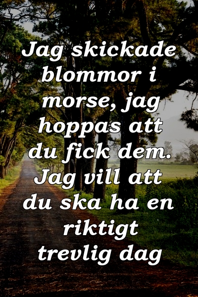 Jag skickade blommor i morse, jag hoppas att du fick dem. Jag vill att du ska ha en riktigt trevlig dag