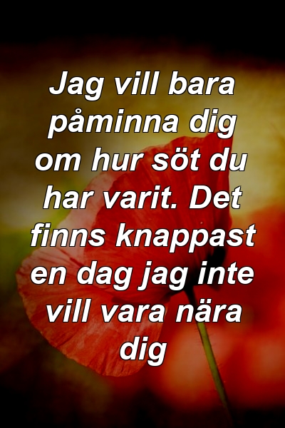 Jag vill bara påminna dig om hur söt du har varit. Det finns knappast en dag jag inte vill vara nära dig