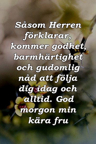 Såsom Herren förklarar, kommer godhet, barmhärtighet och gudomlig nåd att följa dig idag och alltid. God morgon min kära fru