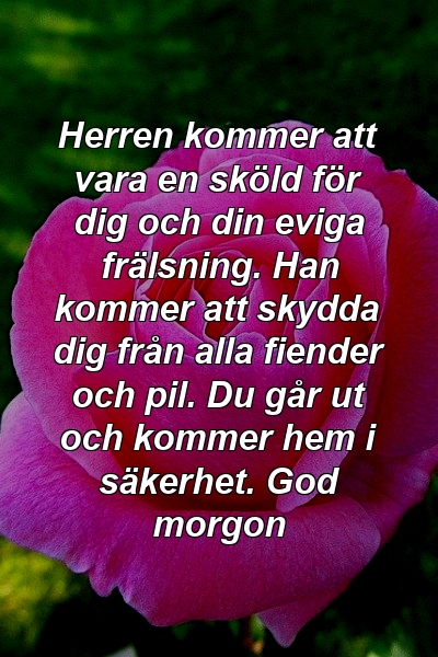 Herren kommer att vara en sköld för dig och din eviga frälsning. Han kommer att skydda dig från alla fiender och pil. Du går ut och kommer hem i säkerhet. God morgon