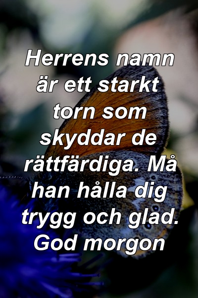 Herrens namn är ett starkt torn som skyddar de rättfärdiga. Må han hålla dig trygg och glad. God morgon