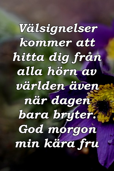 Välsignelser kommer att hitta dig från alla hörn av världen även när dagen bara bryter. God morgon min kära fru