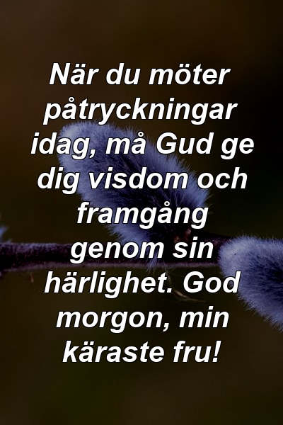 När du möter påtryckningar idag, må Gud ge dig visdom och framgång genom sin härlighet. God morgon, min käraste fru!