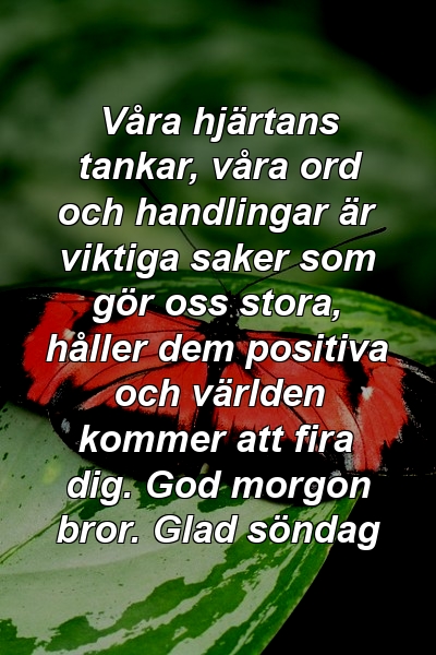 Våra hjärtans tankar, våra ord och handlingar är viktiga saker som gör oss stora, håller dem positiva och världen kommer att fira dig. God morgon bror. Glad söndag