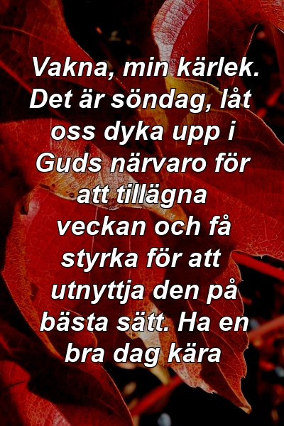 Vakna, min kärlek. Det är söndag, låt oss dyka upp i Guds närvaro för att tillägna veckan och få styrka för att utnyttja den på bästa sätt. Ha en bra dag kära