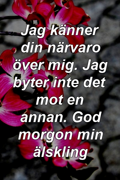 Jag känner din närvaro över mig. Jag byter inte det mot en annan. God morgon min älskling