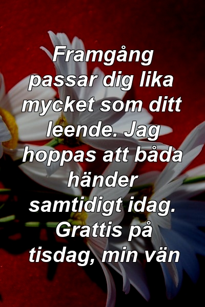 Framgång passar dig lika mycket som ditt leende. Jag hoppas att båda händer samtidigt idag. Grattis på tisdag, min vän