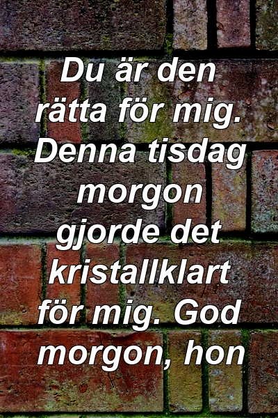 Du är den rätta för mig. Denna tisdag morgon gjorde det kristallklart för mig. God morgon, hon