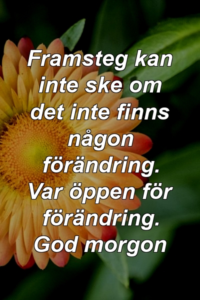 Framsteg kan inte ske om det inte finns någon förändring. Var öppen för förändring. God morgon