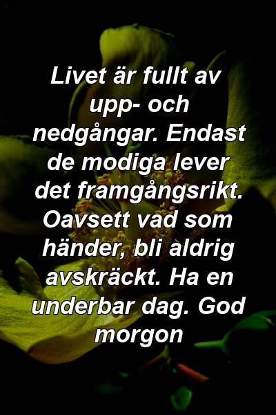 Livet är fullt av upp- och nedgångar. Endast de modiga lever det framgångsrikt. Oavsett vad som händer, bli aldrig avskräckt. Ha en underbar dag. God morgon