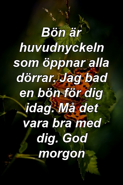 Bön är huvudnyckeln som öppnar alla dörrar. Jag bad en bön för dig idag. Må det vara bra med dig. God morgon