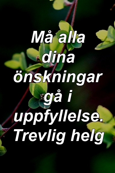 Må alla dina önskningar gå i uppfyllelse. Trevlig helg