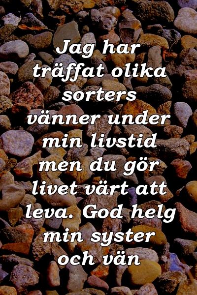 Jag har träffat olika sorters vänner under min livstid men du gör livet värt att leva. God helg min syster och vän