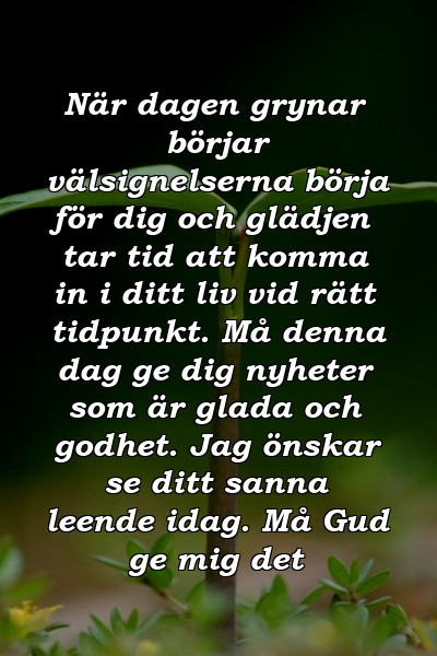 När dagen grynar börjar välsignelserna börja för dig och glädjen tar tid att komma in i ditt liv vid rätt tidpunkt. Må denna dag ge dig nyheter som är glada och godhet. Jag önskar se ditt sanna leende idag. Må Gud ge mig det