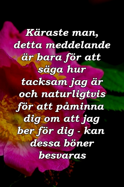 Käraste man, detta meddelande är bara för att säga hur tacksam jag är och naturligtvis för att påminna dig om att jag ber för dig - kan dessa böner besvaras