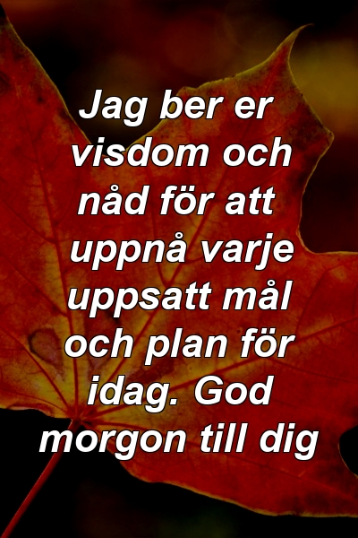 Jag ber er visdom och nåd för att uppnå varje uppsatt mål och plan för idag. God morgon till dig