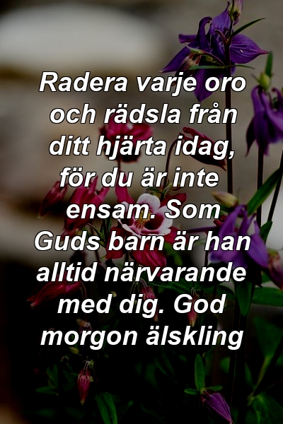 Radera varje oro och rädsla från ditt hjärta idag, för du är inte ensam. Som Guds barn är han alltid närvarande med dig. God morgon älskling