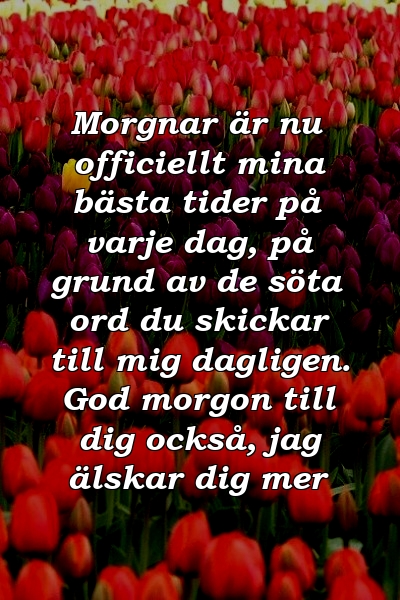 Morgnar är nu officiellt mina bästa tider på varje dag, på grund av de söta ord du skickar till mig dagligen. God morgon till dig också, jag älskar dig mer