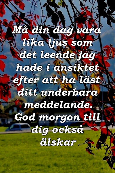 Må din dag vara lika ljus som det leende jag hade i ansiktet efter att ha läst ditt underbara meddelande. God morgon till dig också älskar