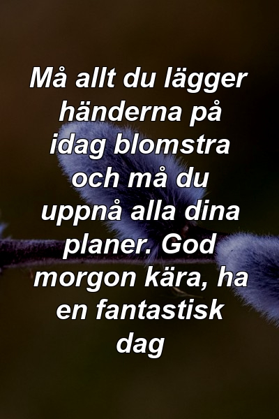 Må allt du lägger händerna på idag blomstra och må du uppnå alla dina planer. God morgon kära, ha en fantastisk dag