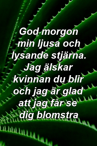 God morgon min ljusa och lysande stjärna. Jag älskar kvinnan du blir och jag är glad att jag får se dig blomstra