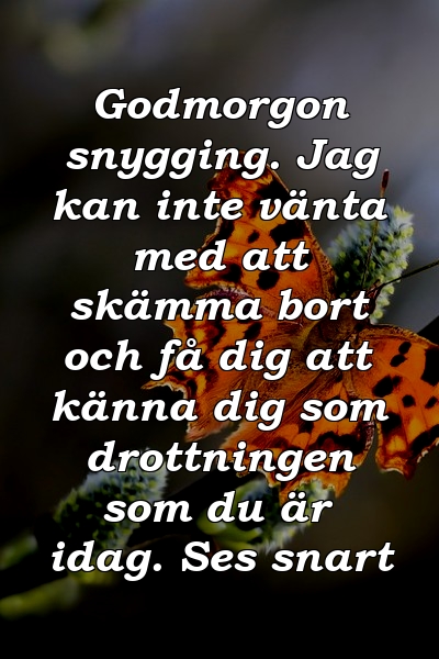 Godmorgon snygging. Jag kan inte vänta med att skämma bort och få dig att känna dig som drottningen som du är idag. Ses snart