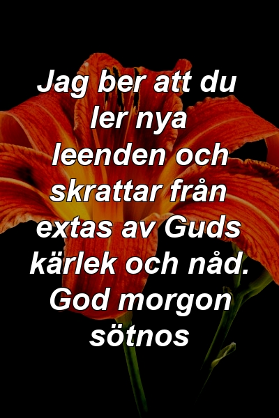 Jag ber att du ler nya leenden och skrattar från extas av Guds kärlek och nåd. God morgon sötnos