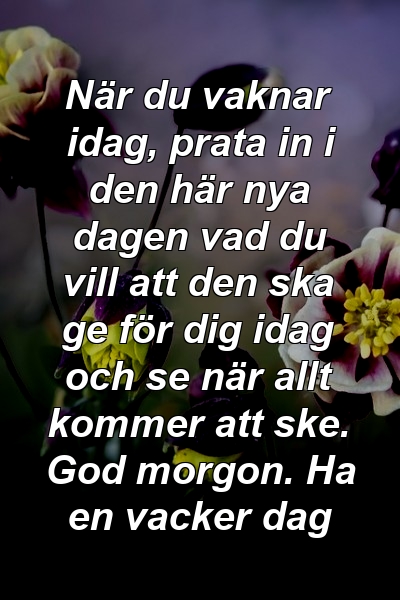 När du vaknar idag, prata in i den här nya dagen vad du vill att den ska ge för dig idag och se när allt kommer att ske. God morgon. Ha en vacker dag