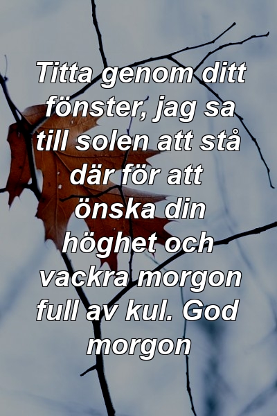 Titta genom ditt fönster, jag sa till solen att stå där för att önska din höghet och vackra morgon full av kul. God morgon